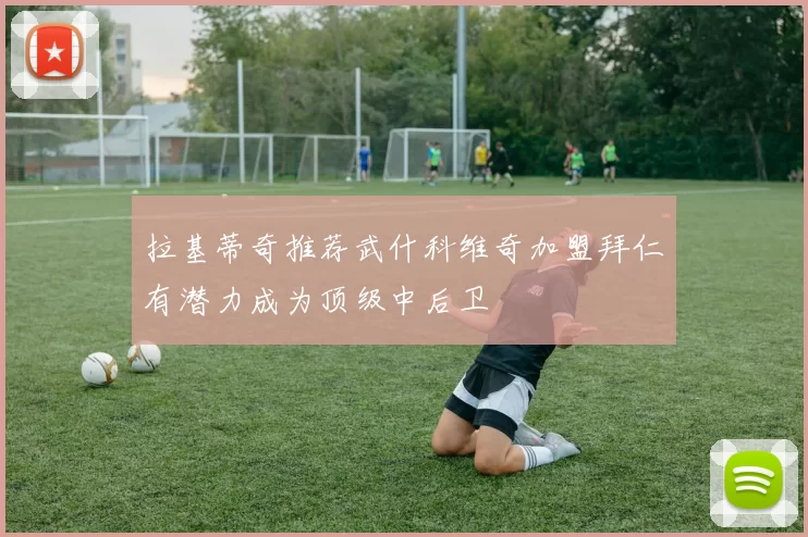 拉基蒂奇推荐武什科维奇加盟拜仁有潜力成为顶级中后卫