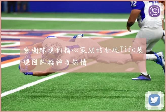 感谢球迷们精心策划的壮观Tifo展现团队精神与热情
